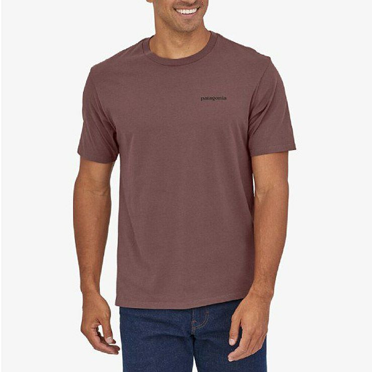 PATAGONIA パタゴニア P-6 MISSION ORGANIC T-SHIRT P-6