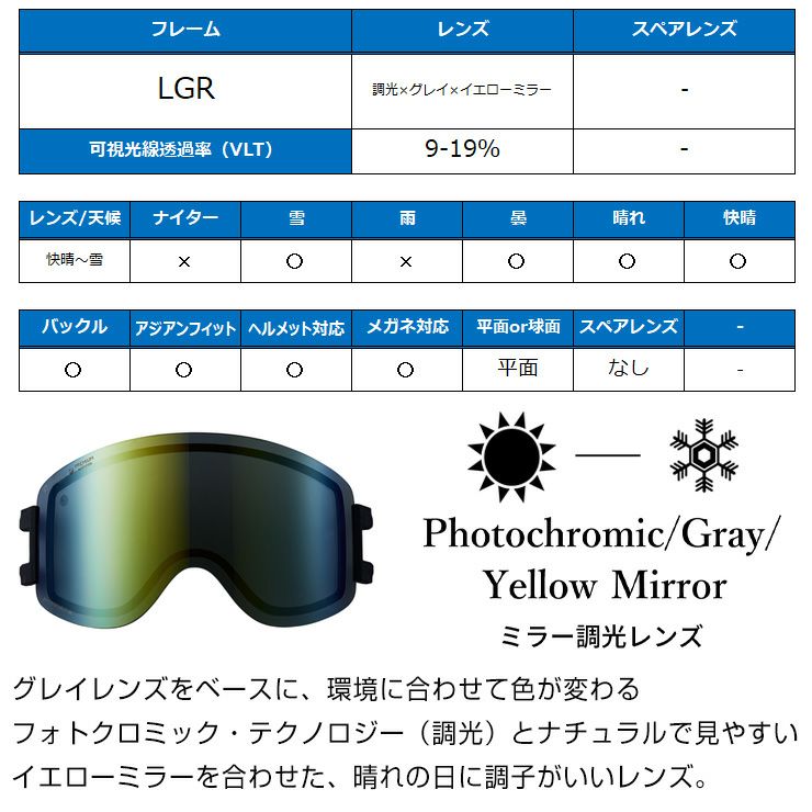 DICE snowboarding goggles | ダイススノーボーディングゴーグル