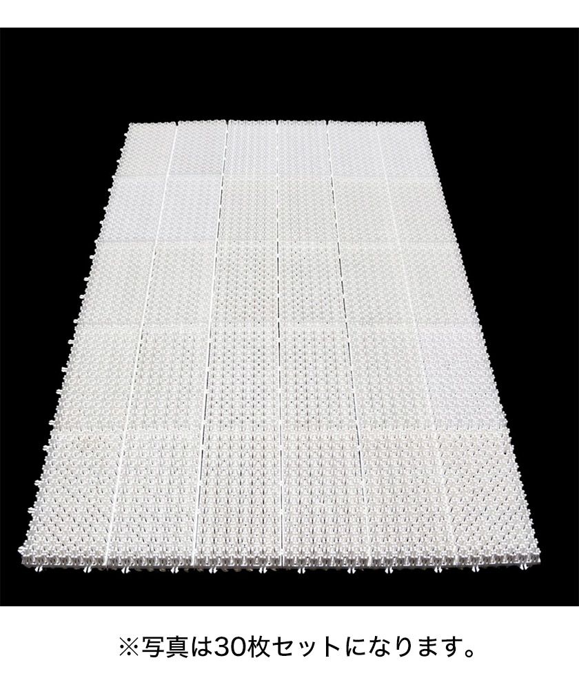 シバカツ エキスパートセット 30枚セット スノボオフトレ グラトリ